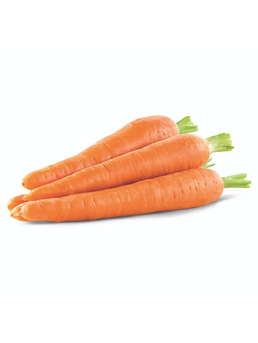 Carrot