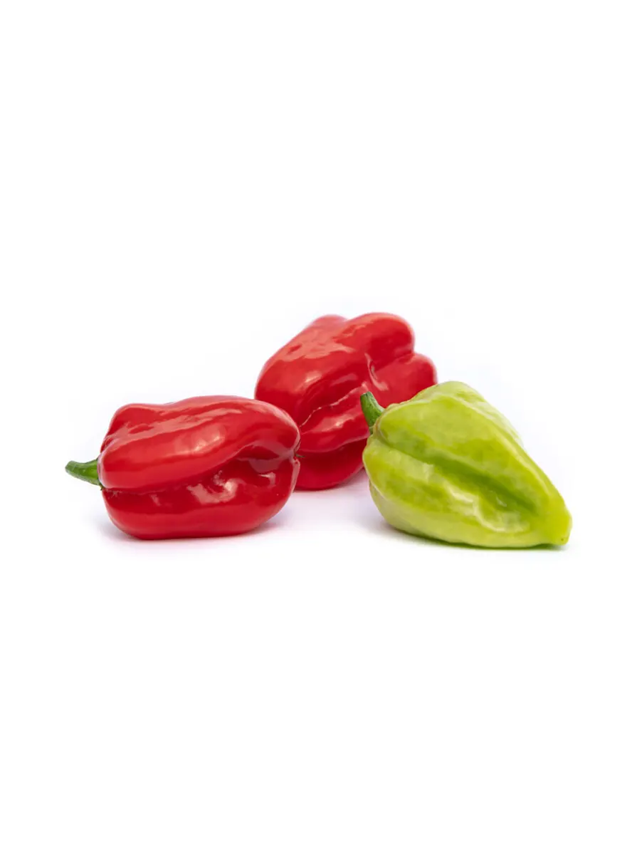 Hot pepper
