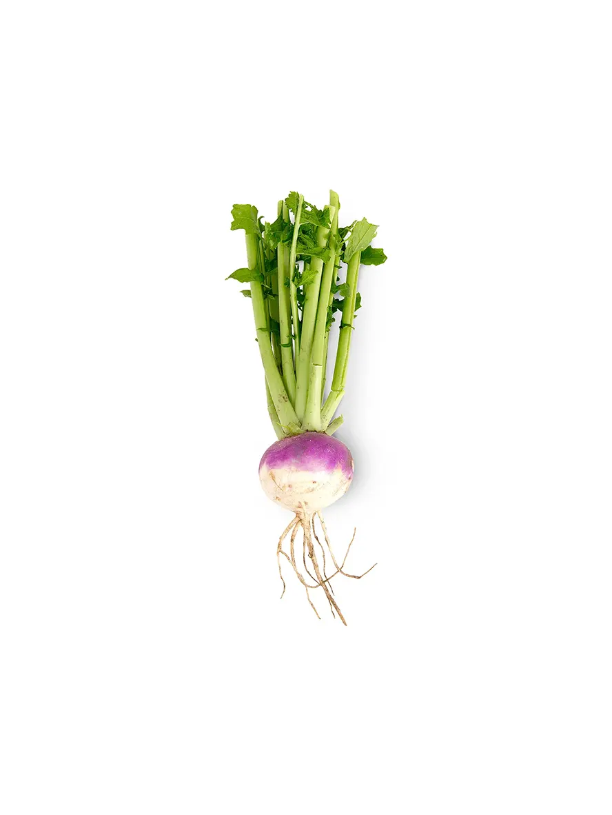 Turnip