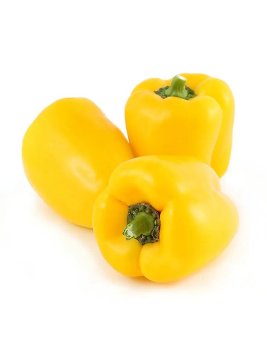 Yellow Capsicum